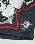 Buffalo Sabres Black & Red Big Logo Mesh Shorts