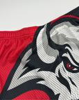 Buffalo Sabres Black & Red Big Logo Mesh Shorts