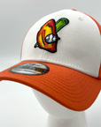 Buffalo Bisons Chicken Wing & Celery Fitted Baseball Hat