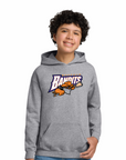 Youth Buffalo Bandits Gray Hoodie