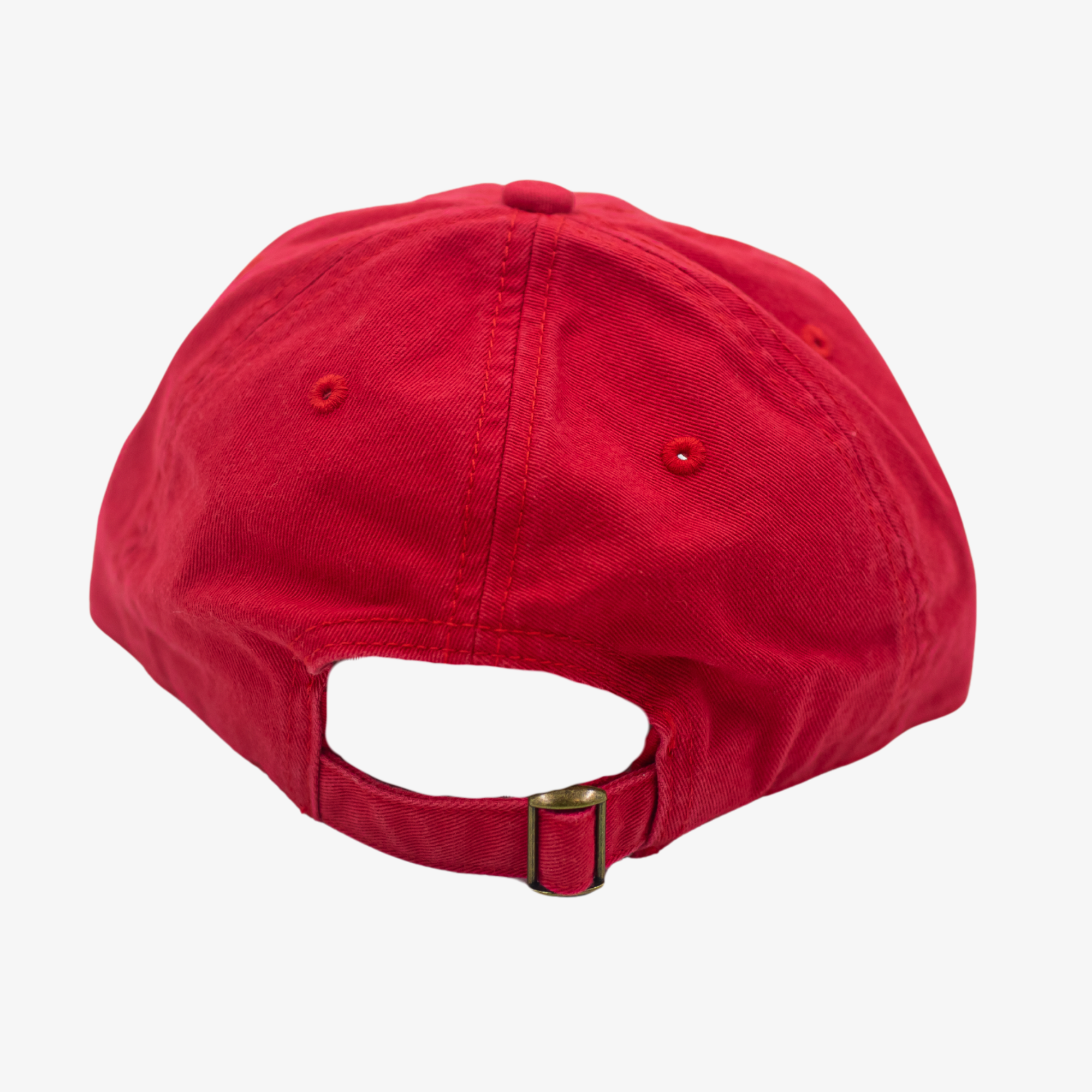 (code)word BFLO Red &amp; White Dad Hat