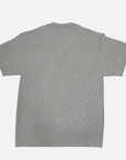 Starter Buffalo Sabres Heather Gray Established 1970 Graphic T-Shirt