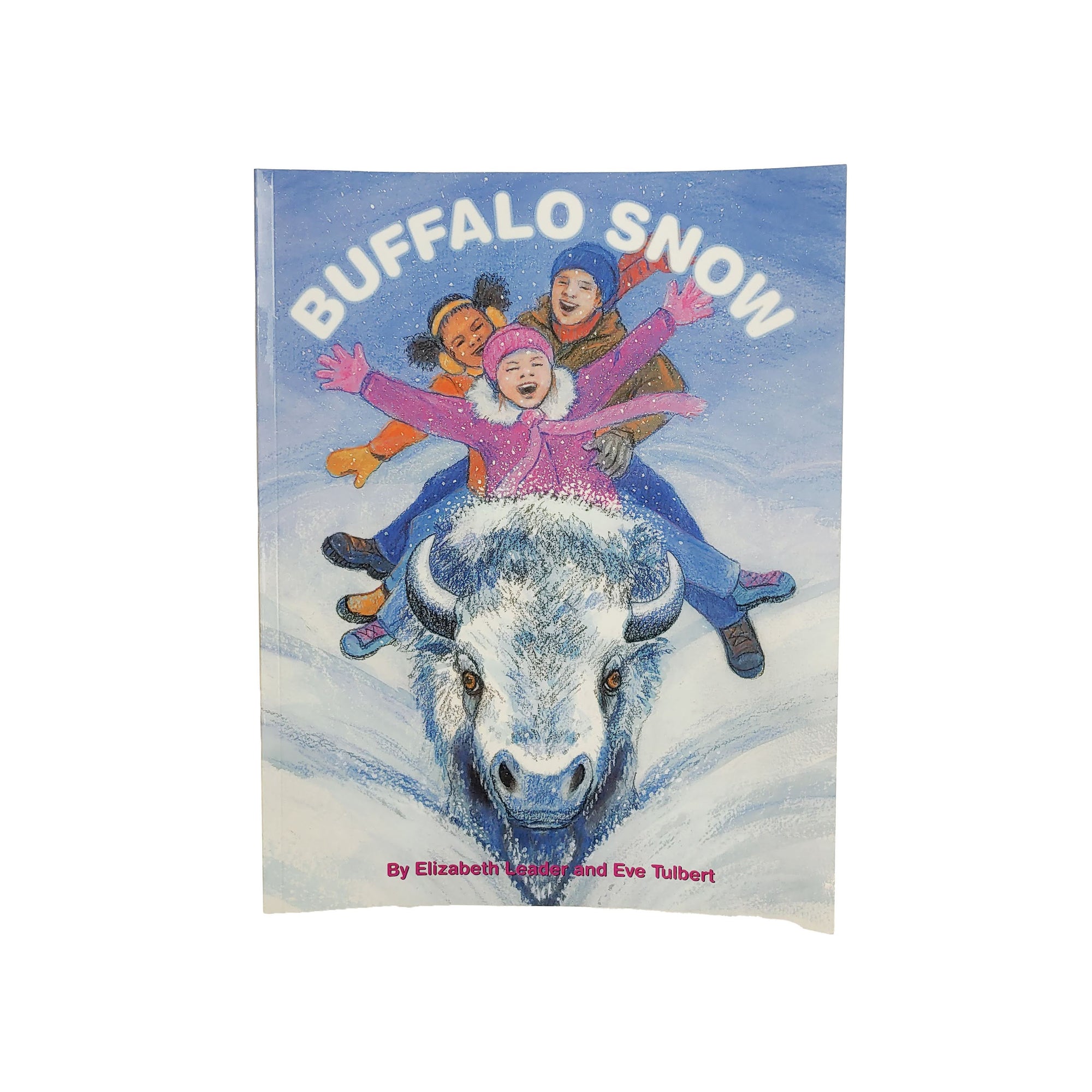 bflo store buffalo snow childrens book