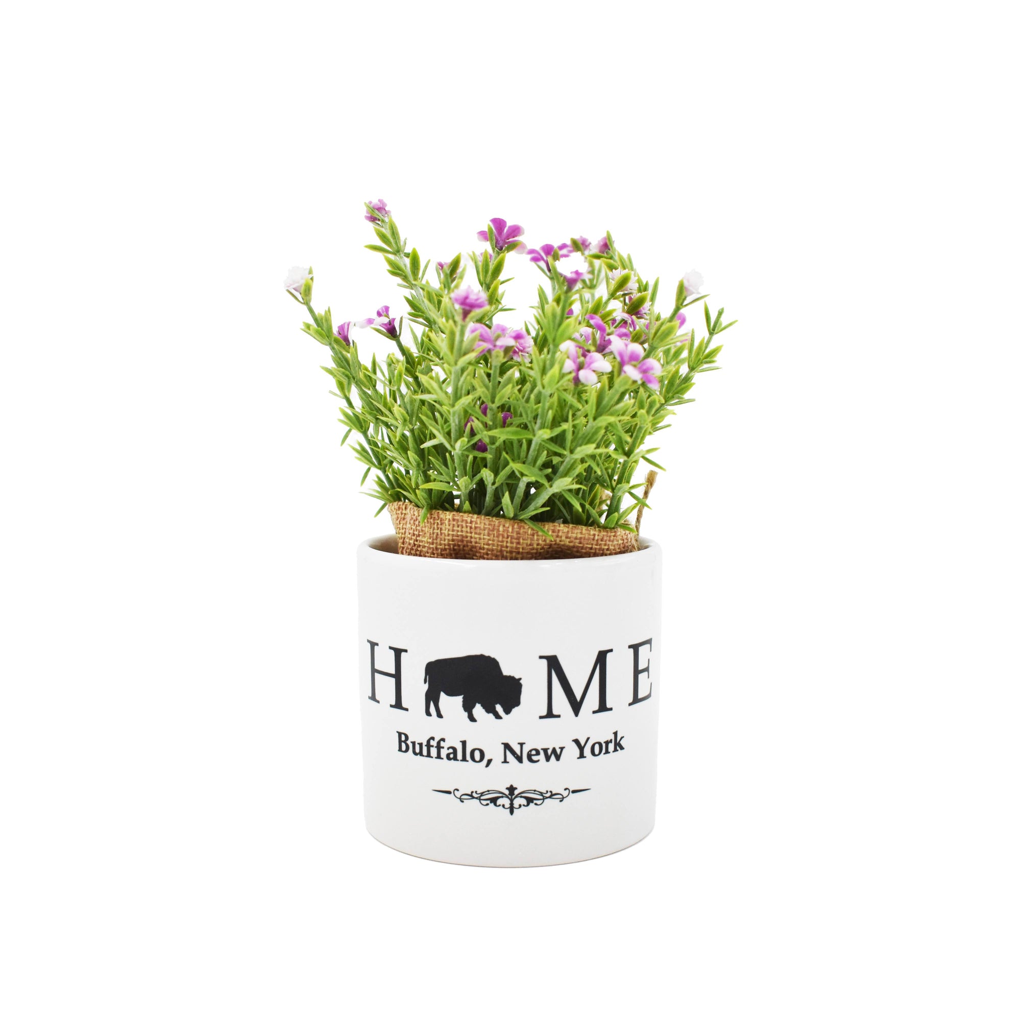 Buffalo, NY Pink Flowers With White Ceramic Pot Holder