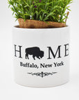 Buffalo, NY Pink Flowers With White Ceramic Pot Holder