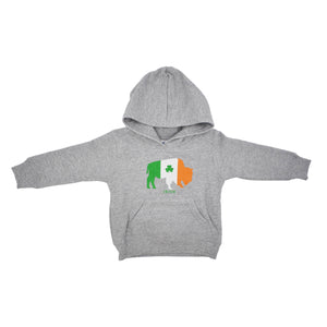 BFLO Buffalo Toddler Heather Grey Hoodie sweatshirt with Irish flag in buffalo 