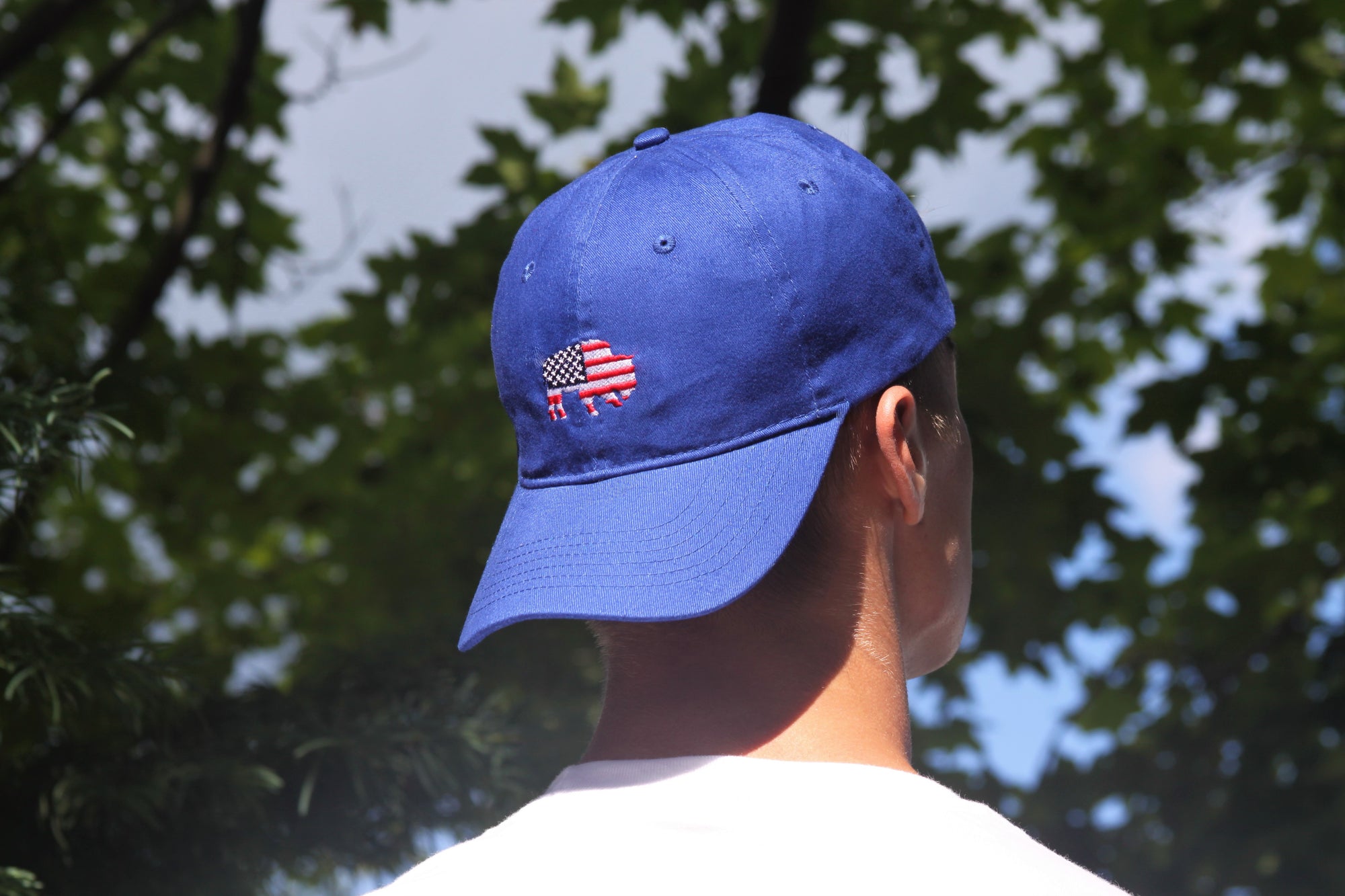 BFLO American Flag Hat - The BFLO Store