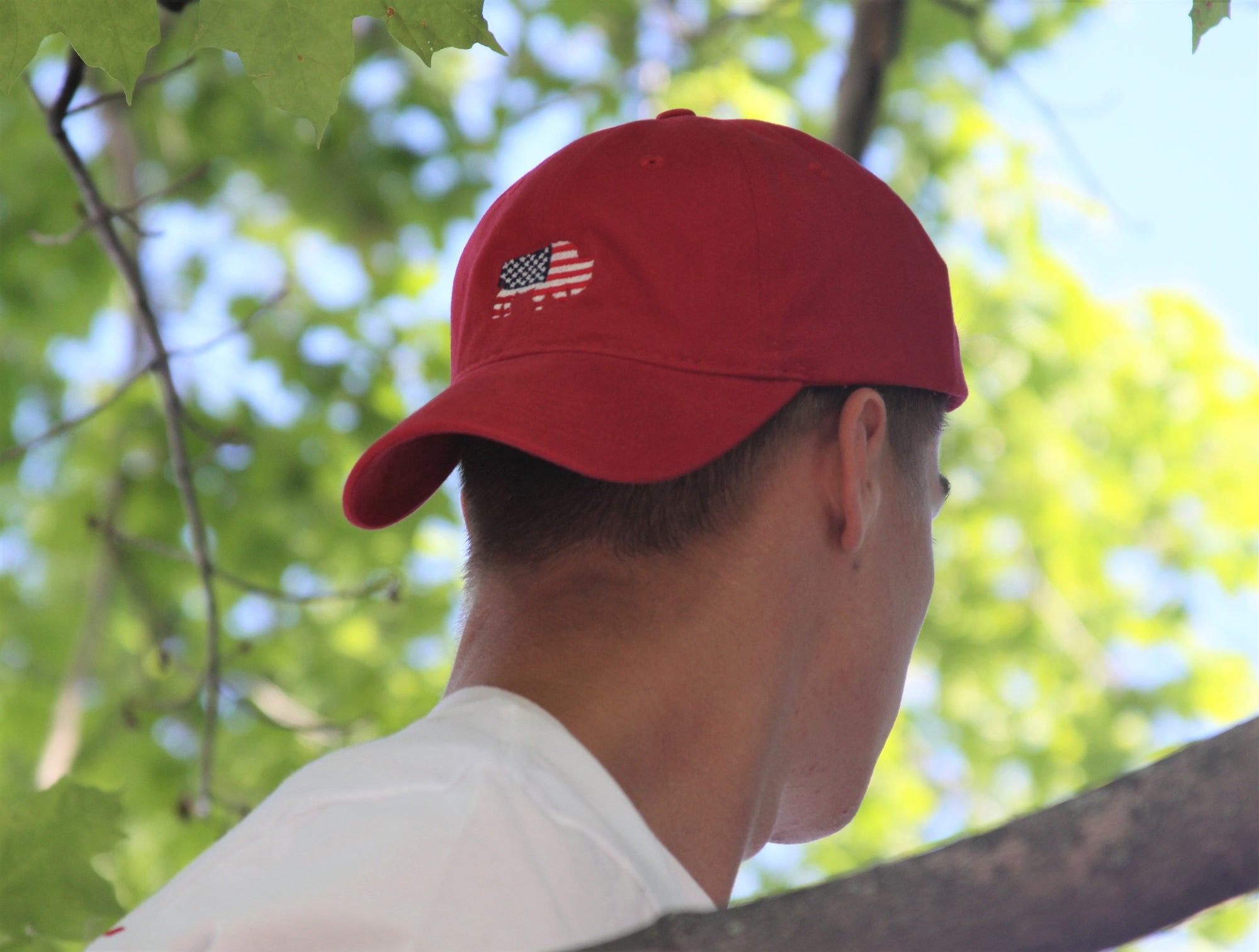 BFLO American Flag Hat - The BFLO Store