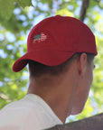 BFLO American Flag Hat - The BFLO Store