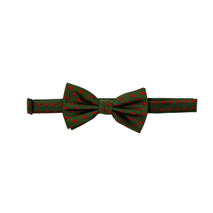 Buffalo Green and Red Bow Tie