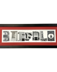 Buffalo Firehouses Framed Art